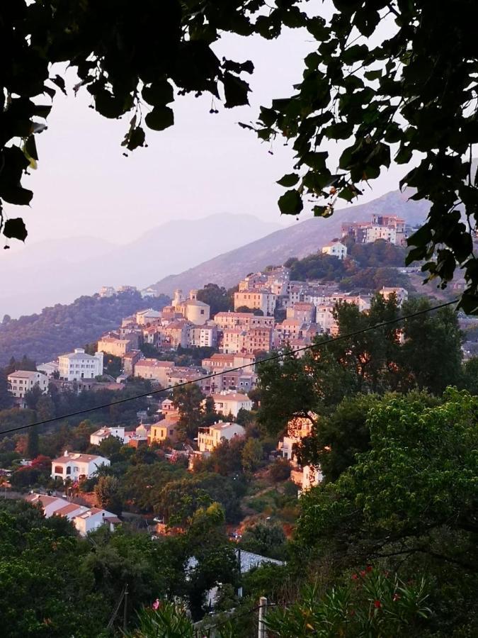Villa Milanu Oletta  Esterno foto