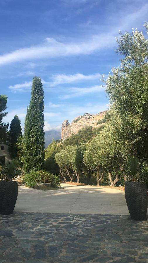 Villa Milanu Oletta  Esterno foto