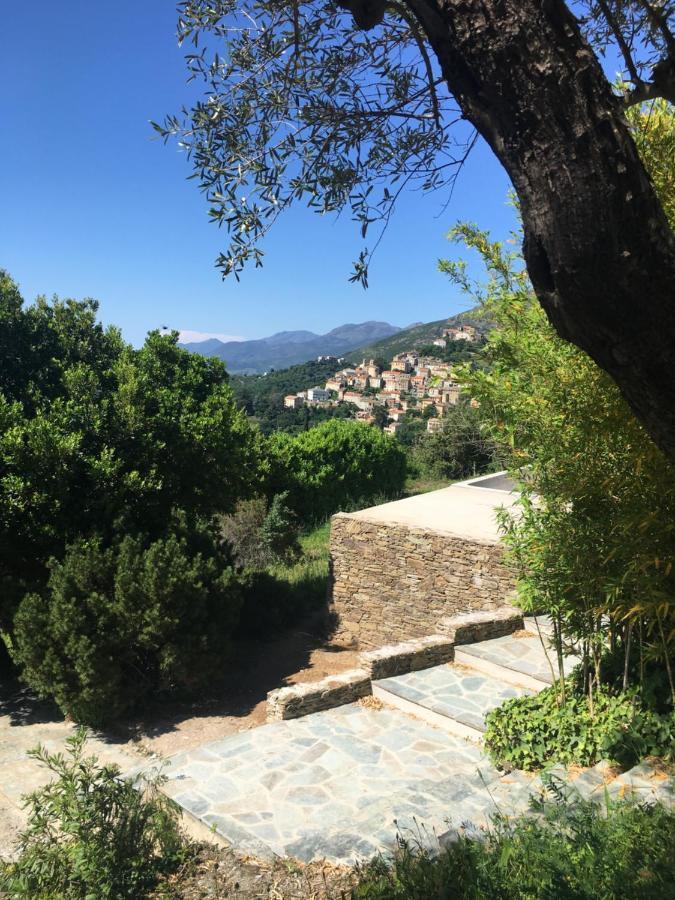 Villa Milanu Oletta  Esterno foto